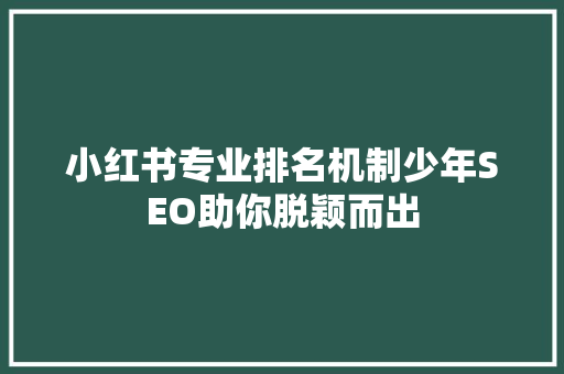 小红书专业排名机制少年SEO助你脱颖而出