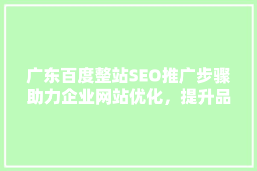 广东百度整站SEO推广步骤助力企业网站优化，提升品牌影响力
