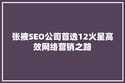 张掖SEO公司首选12火星高效网络营销之路