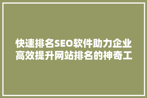 快速排名SEO软件助力企业高效提升网站排名的神奇工具