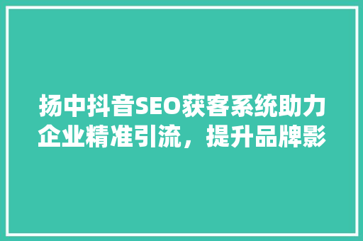 扬中抖音SEO获客系统助力企业精准引流，提升品牌影响力