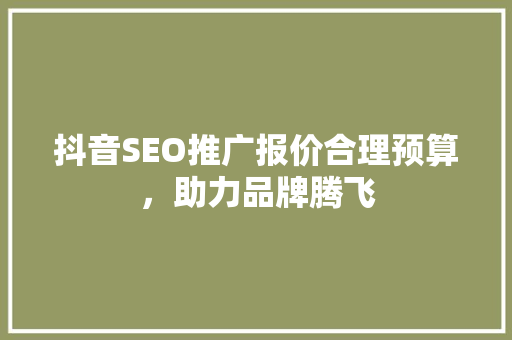抖音SEO推广报价合理预算，助力品牌腾飞