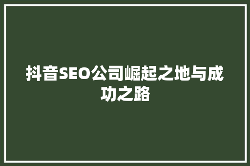 抖音SEO公司崛起之地与成功之路