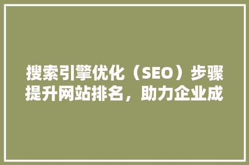 搜索引擎优化（SEO）步骤提升网站排名，助力企业成长