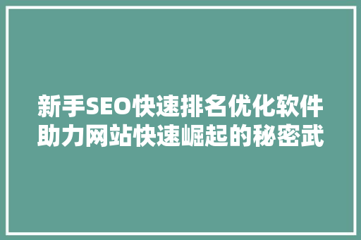 新手SEO快速排名优化软件助力网站快速崛起的秘密武器