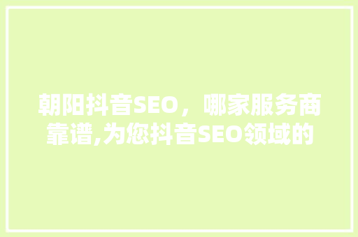 朝阳抖音SEO，哪家服务商靠谱,为您抖音SEO领域的佼佼者