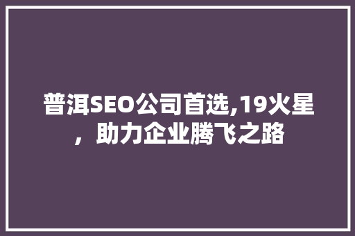 普洱SEO公司首选,19火星，助力企业腾飞之路