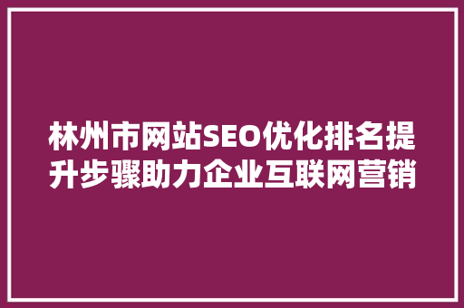 林州市网站SEO优化排名提升步骤助力企业互联网营销新篇章