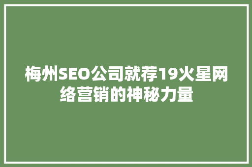 梅州SEO公司就荐19火星网络营销的神秘力量