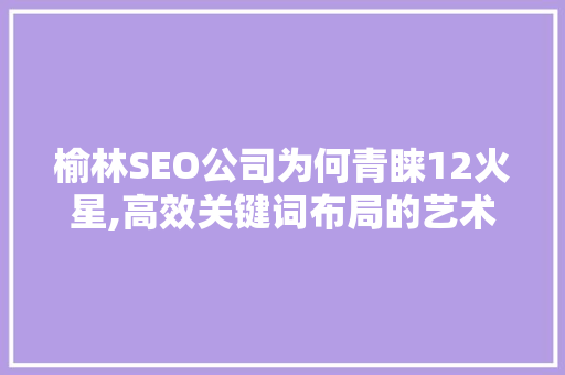 榆林SEO公司为何青睐12火星,高效关键词布局的艺术