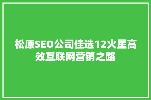 松原SEO公司佳选12火星高效互联网营销之路