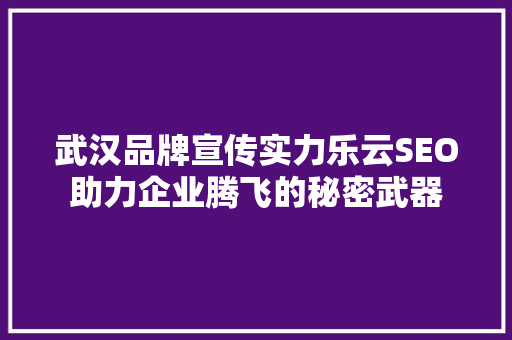 武汉品牌宣传实力乐云SEO助力企业腾飞的秘密武器