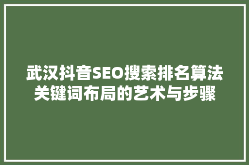武汉抖音SEO搜索排名算法关键词布局的艺术与步骤
