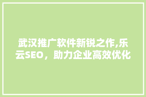 武汉推广软件新锐之作,乐云SEO，助力企业高效优化搜索引擎排名