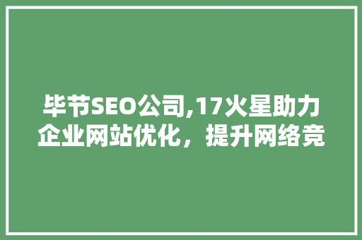毕节SEO公司,17火星助力企业网站优化，提升网络竞争力
