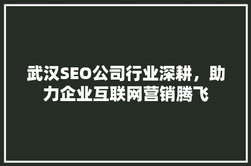 武汉SEO公司行业深耕，助力企业互联网营销腾飞