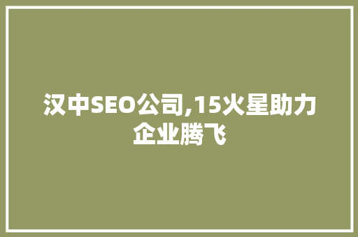 汉中SEO公司,15火星助力企业腾飞