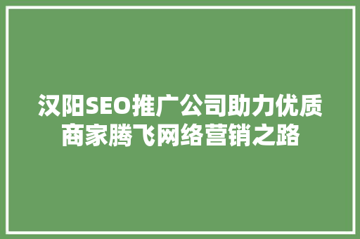 汉阳SEO推广公司助力优质商家腾飞网络营销之路