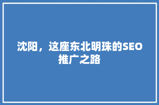 沈阳，这座东北明珠的SEO推广之路