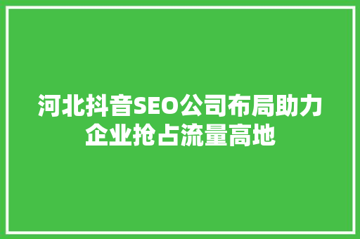 河北抖音SEO公司布局助力企业抢占流量高地