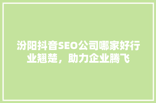 汾阳抖音SEO公司哪家好行业翘楚，助力企业腾飞