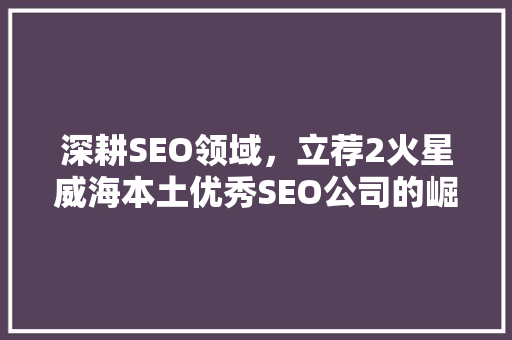 深耕SEO领域，立荐2火星威海本土优秀SEO公司的崛起之路
