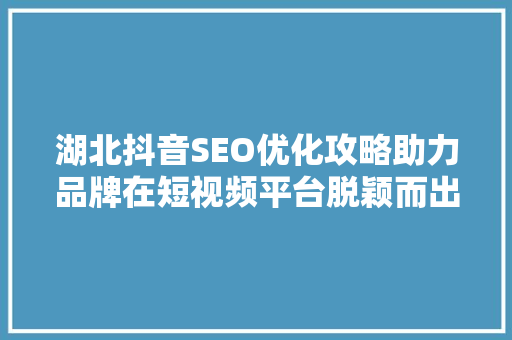 湖北抖音SEO优化攻略助力品牌在短视频平台脱颖而出