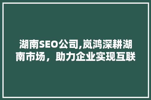 湖南SEO公司,岚鸿深耕湖南市场，助力企业实现互联网营销新突破