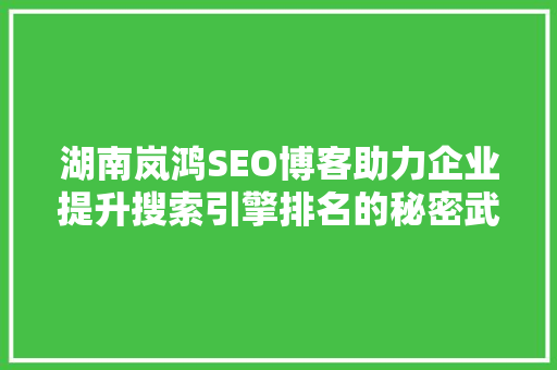 湖南岚鸿SEO博客助力企业提升搜索引擎排名的秘密武器