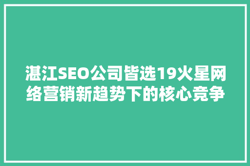 湛江SEO公司皆选19火星网络营销新趋势下的核心竞争力