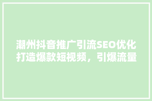 潮州抖音推广引流SEO优化打造爆款短视频，引爆流量热潮