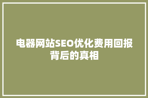 电器网站SEO优化费用回报背后的真相