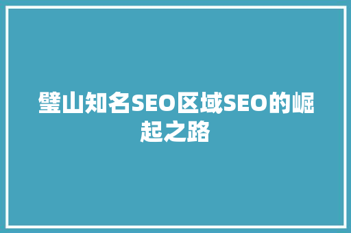 璧山知名SEO区域SEO的崛起之路
