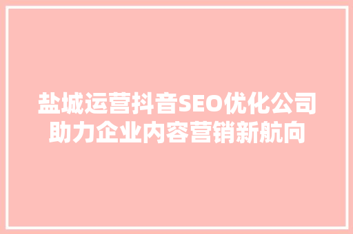 盐城运营抖音SEO优化公司助力企业内容营销新航向