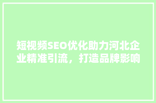 短视频SEO优化助力河北企业精准引流，打造品牌影响力