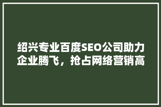 绍兴专业百度SEO公司助力企业腾飞，抢占网络营销高地