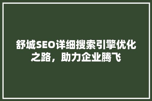舒城SEO详细搜索引擎优化之路，助力企业腾飞