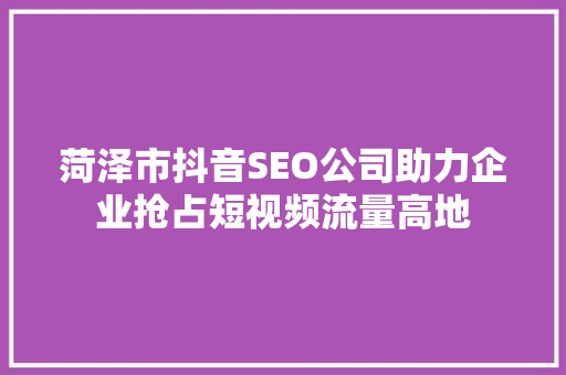 菏泽市抖音SEO公司助力企业抢占短视频流量高地