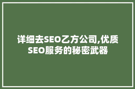详细去SEO乙方公司,优质SEO服务的秘密武器
