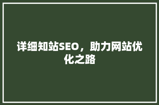 详细知站SEO，助力网站优化之路