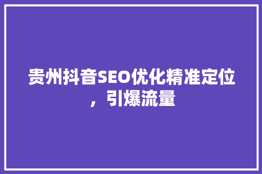 贵州抖音SEO优化精准定位，引爆流量