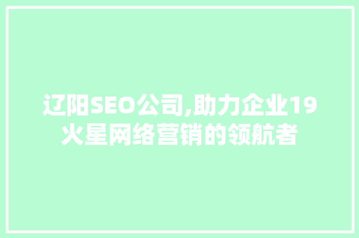 辽阳SEO公司,助力企业19火星网络营销的领航者