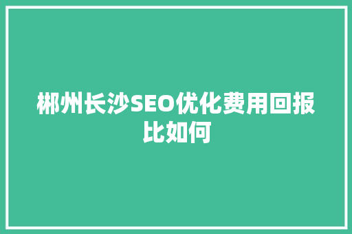 郴州长沙SEO优化费用回报比如何