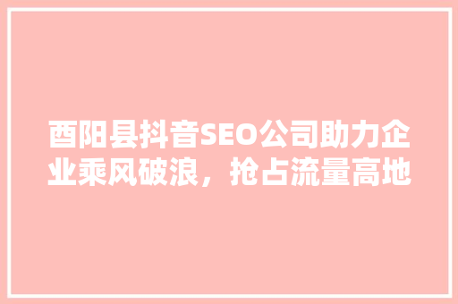 酉阳县抖音SEO公司助力企业乘风破浪，抢占流量高地