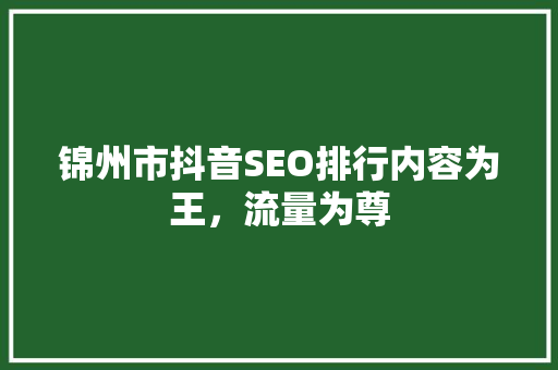 锦州市抖音SEO排行内容为王，流量为尊