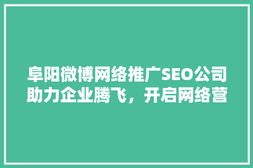 阜阳微博网络推广SEO公司助力企业腾飞，开启网络营销新篇章