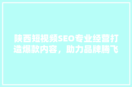 陕西短视频SEO专业经营打造爆款内容，助力品牌腾飞