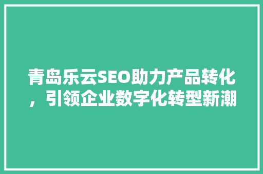 青岛乐云SEO助力产品转化，引领企业数字化转型新潮流