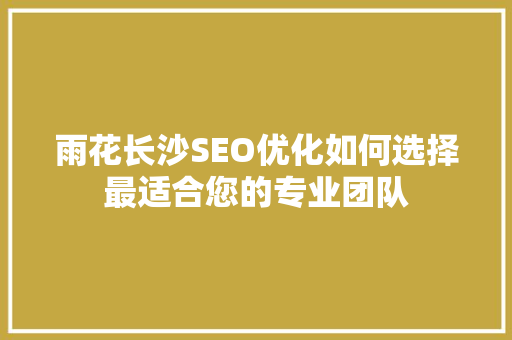 雨花长沙SEO优化如何选择最适合您的专业团队