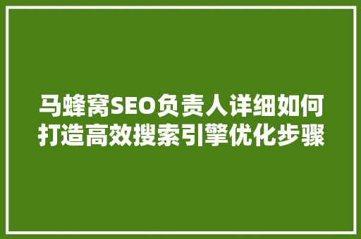 马蜂窝SEO负责人详细如何打造高效搜索引擎优化步骤